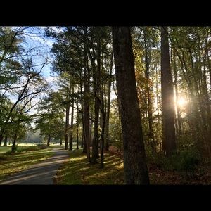 Meet your Posher, Mina